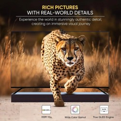 شاشة سرين 55 بوصة سمارت QLED-WEB OS 4K